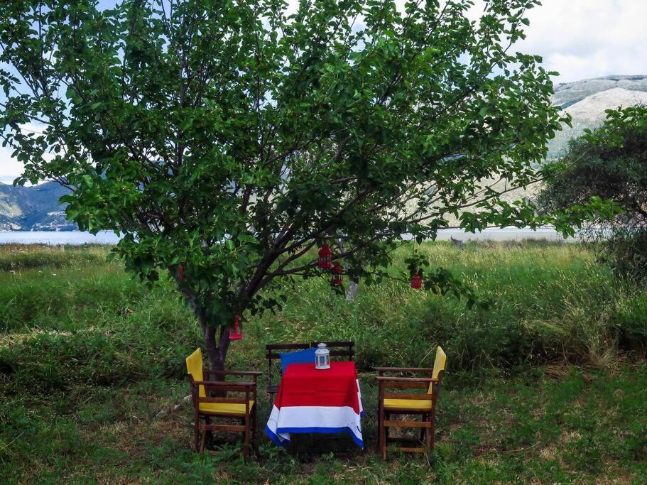 Villa Rania: Ευάερη βίλα με θέα τη θάλασσα Ληξούρι Εξωτερικό φωτογραφία