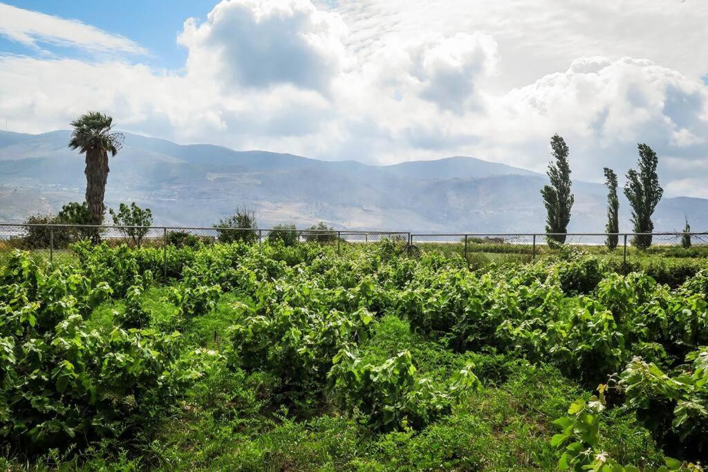 Villa Rania: Ευάερη βίλα με θέα τη θάλασσα Ληξούρι Εξωτερικό φωτογραφία